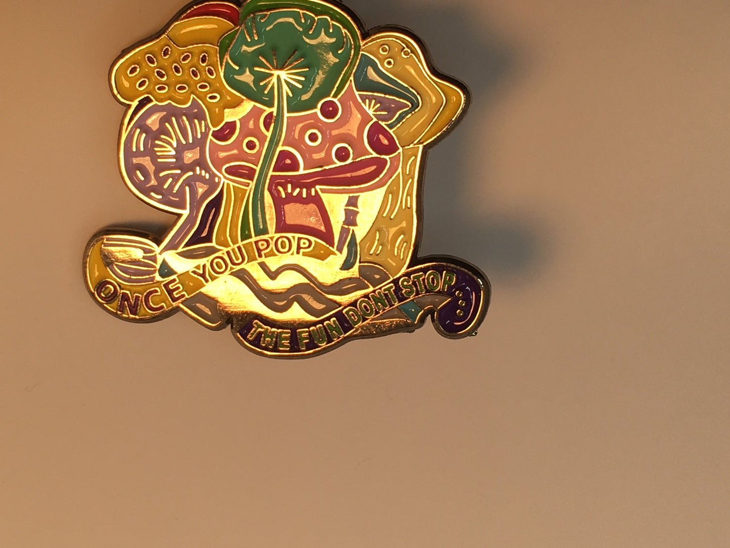 Once You Pop The Fun Don't Stop Mushrooms Pin