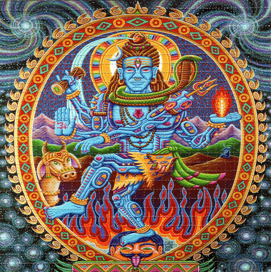 Nataraja Shiva by Chris Dyer LSD blotter art print