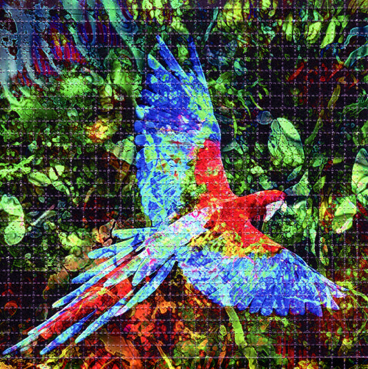 Parrot LSD blotter art print